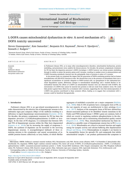 L-DOPA Causes Mitochondrial Dysfunction in Vitro a Novel