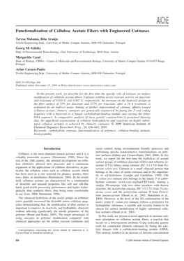 Functionalization of Cellulose Acetate Fibers with Engineered Cutinases