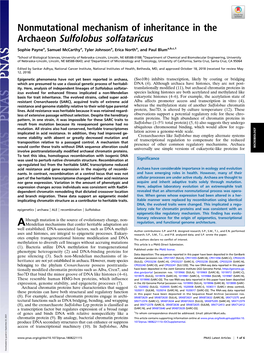 Nonmutational Mechanism of Inheritance in the Archaeon Sulfolobus Solfataricus