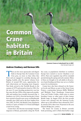 Common Crane Habitats in Britain