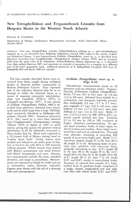 New Tetraphyllidean and Trypanorhynch Cestodes from Deep-Sea Skates in the Western North Atlantic