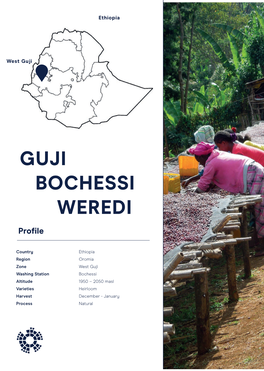 Ethiopia Guji Bochessi Weredi.Indd