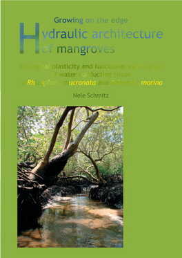 Ydraulic Architecture of Mangroves