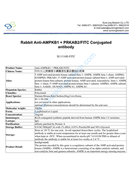 Rabbit Anti-AMPKB1 + PRKAB2/FITC Conjugated Antibody