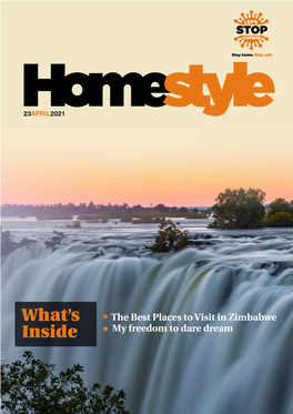 Homestyle Newsletter