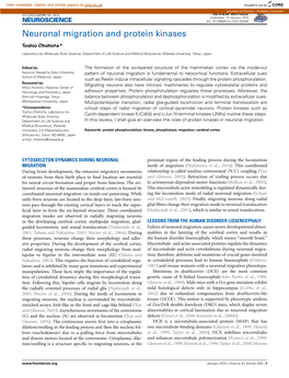 Neuronal Migration and Protein Kinases