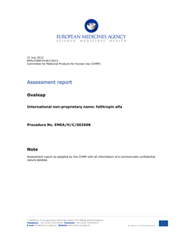 Assessment Report