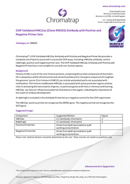 Chip Validated H4k12ac (Clone RM202) Antibody with Positive and Negative Primer Sets
