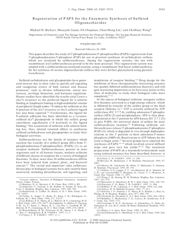 Regeneration of PAPS for the Enzymatic Synthesis of Sulfated Oligosaccharides