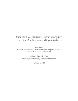 Simulation of Turbulent Flow in Computer Graphics: Applications