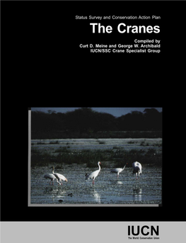 The Cranes Compiled by Curt D