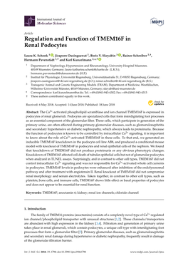 Regulation and Function of TMEM16F in Renal Podocytes