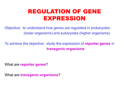 Regulation of Gene Expression