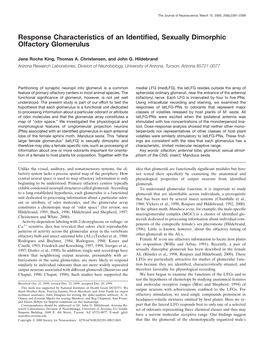 Response Characteristics of an Identified, Sexually Dimorphic Olfactory Glomerulus