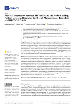 Physical Interaction Between HPV16E7 and the Actin-Binding Protein Gelsolin Regulates Epithelial-Mesenchymal Transition Via HIPPO-YAP Axis