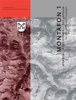 Geologie Montafon