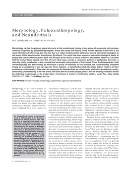 Morphology, Paleoanthropology, and Neanderthals