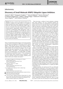 Discovery of Small Molecule WWP2 Ubiquitin Ligase Inhibitors