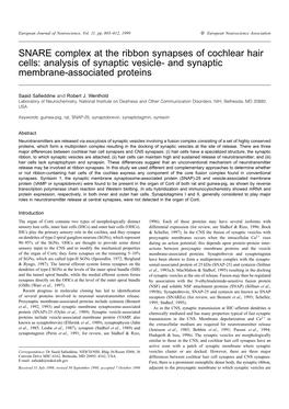 SNARE Complex at the Ribbon Synapses of Cochlear Hair Cells: Analysis of Synaptic Vesicle- and Synaptic Membrane-Associated Proteins