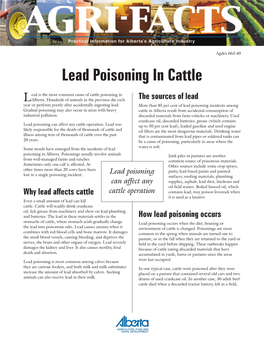 Lead Poisoning in Cattle