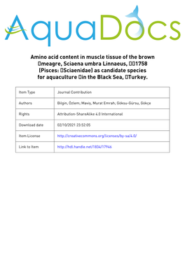 Amino Acid Content in Muscle Tissue of the Brown