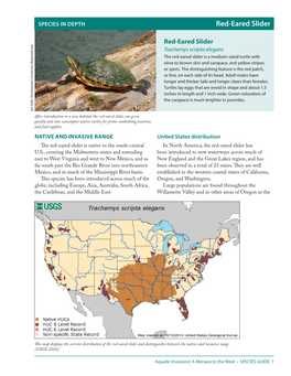 Red-Eared Slider