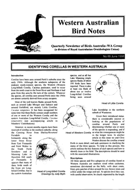 Western Australian Bird Notes