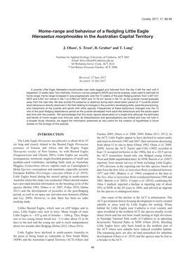 Home-Range and Behaviour of a Fledgling Little Eagle Hieraaetus Morphnoides in the Australian Capital Territory