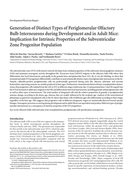 Generation of Distinct Types of Periglomerular Olfactory Bulb Interneurons During Development and in Adult Mice