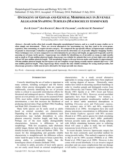 Ontogeny of Gonad and Genital Morphology in Juvenile Alligator Snapping Turtles (Macrochelys Temminckii)