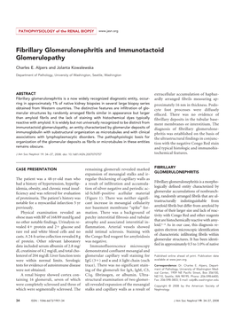 Fibrillary Glomerulonephritis and Immunotactoid Glomerulopathy