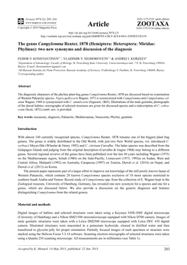 The Genus Campylomma Reuter, 1878 (Hemiptera: Heteroptera: Miridae: Phylinae): Two New Synonyms and Discussion of the Diagnosis