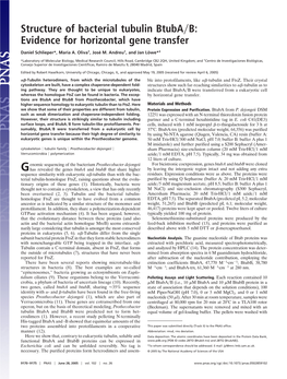 Structure of Bacterial Tubulin Btuba B: Evidence for Horizontal Gene Transfer