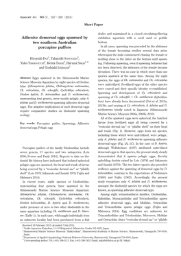 Adhesive Demersal Eggs Spawned by Two Southern Australianporcupine
