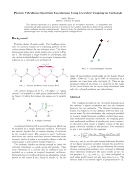 Protein Vibrational Spectrum Calculations Using Dielectric Coupling in Carbonyls