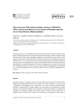 The Correct Use of the Name Scytalopus Speluncae (Ménétriés, 1835), and the Description of a New Species of Brazilian Tapaculo (Aves: Passeriformes: Rhinocryptidae)