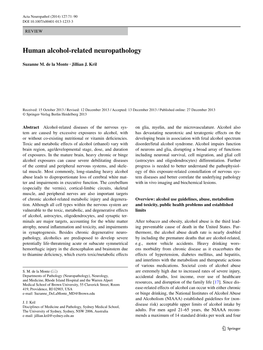 Human Alcohol-Related Neuropathology