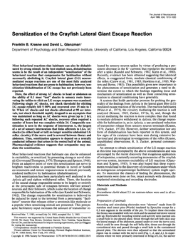 Sensitization of the Crayfish Lateral Giant Escape Reaction