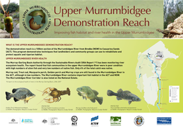 The Demonstration Reach Is a 100Km Section of the Murrumbidgee River from Bredbo (NSW) to Casuarina Sands (ACT)