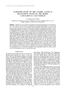 Ultrastructure of the Enamel Layer in Developing Teeth of the Shark Carcharhinus Menisorrah