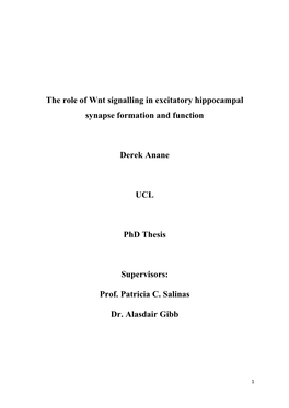 The Role of Wnt Signalling in Excitatory Hippocampal Synapse Formation and Function