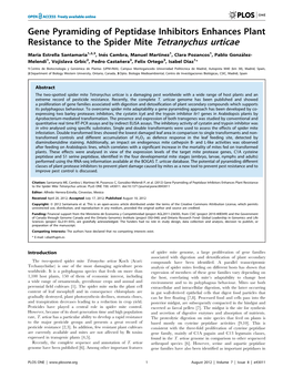 Gene Pyramiding of Peptidase Inhibitors Enhances Plant Resistance to the Spider Mite Tetranychus Urticae