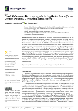 Novel Siphoviridae Bacteriophages Infecting Bacteroides Uniformis Contain Diversity Generating Retroelement