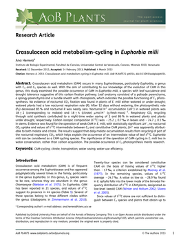 Crassulacean Acid Metabolism-Cycling in Euphorbia Milii