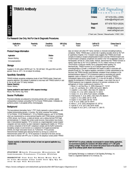 TRIM33 Antibody A