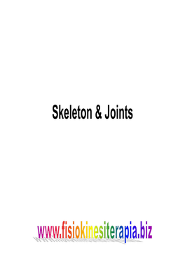 Skeleton & Joints