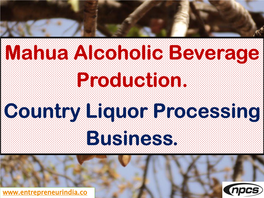 Mahua Alcoholic Beverage Production