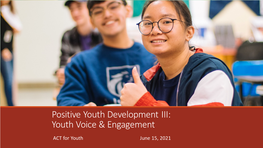 Youth Voice & Engagement