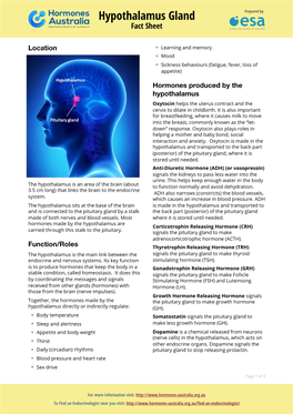 Hypothalamus Gland Prepared By: Fact Sheet