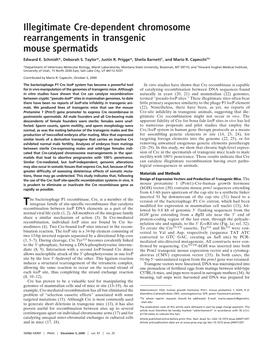 Illegitimate Cre-Dependent Chromosome Rearrangements in Transgenic Mouse Spermatids